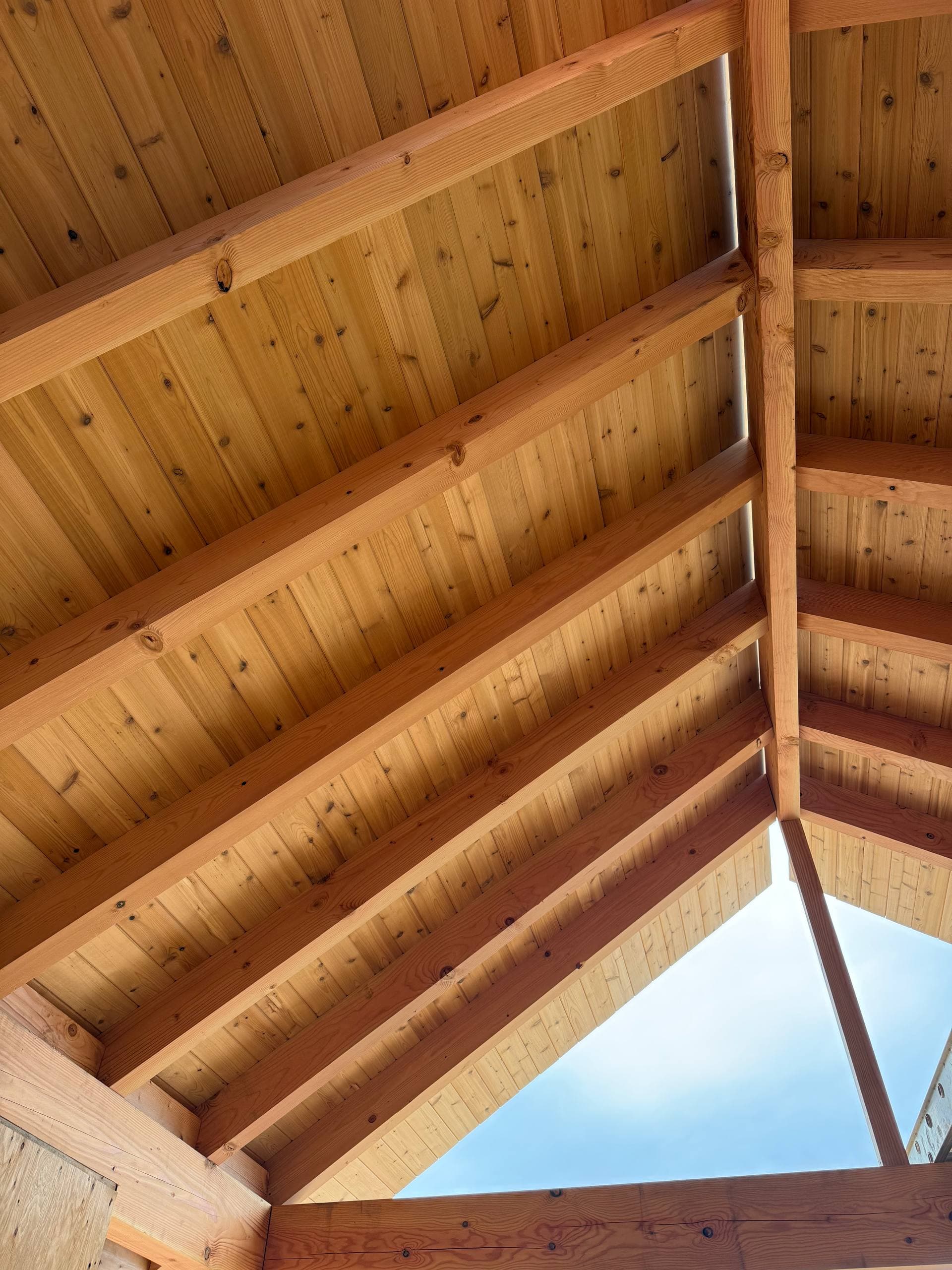 Custom ceiling detail