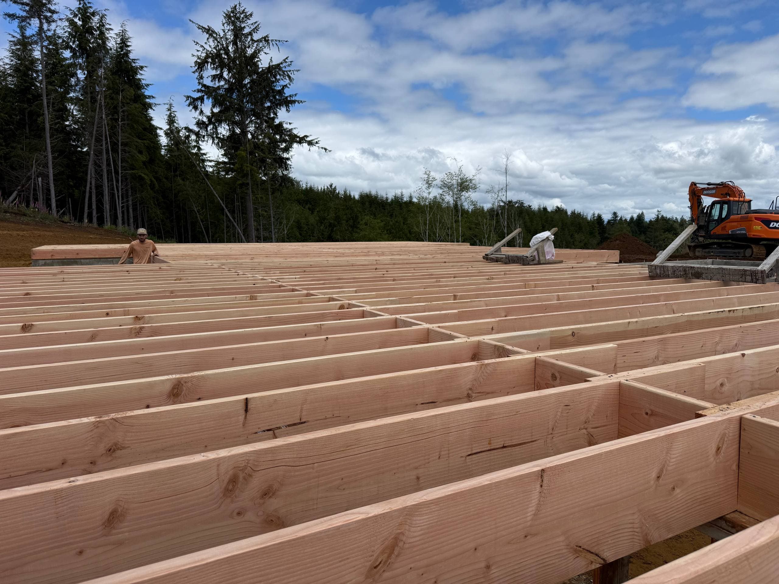Douglas fir floor joists